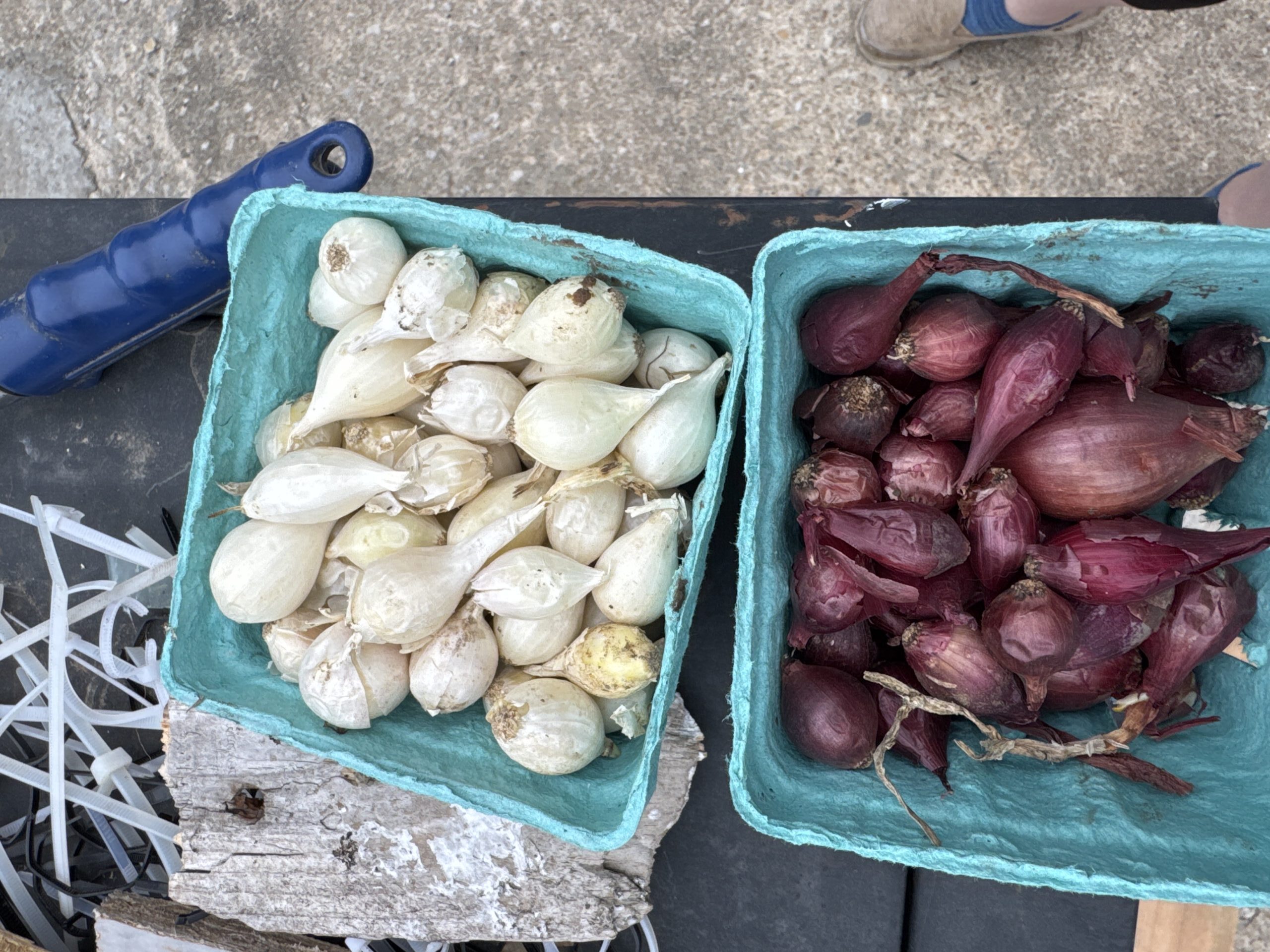 When Life Slows Down… and Still Gets Done on the Homestead